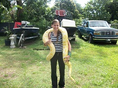 Albino Snake